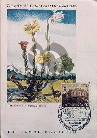 Recto carte postale ancienne	fleurs tampon kwhw kreigs winterhilfswerk secours d'hiver Allemagne 1939