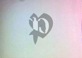 Verso carte postale ancienne vierge