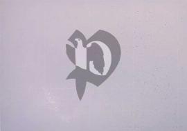 Verso carte postale vierge blanche