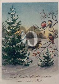 recto carte postale ancienne	oiseaux sur un arbre avec sapin de Noel et neige