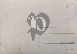 Verso carte postale vierge Allemagne 1920