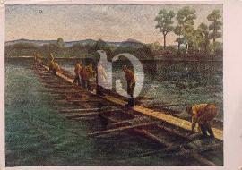 Recto carte postale ancienne SA (Sturmabteilung) entraint de construire un pont sur un fleuve 1939