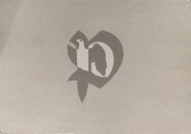 Verso carte postale vierge