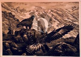 Recto carte postale ancienne d'un paysage de montage avec deux aigles, un aigle est posé et l'autre se pose sur un rocher