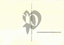 verso carte postale vierge