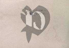 verso carte postale ancienne vierge 