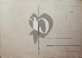 Verso carte postale ancienne vierge