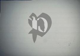 Verso carte postale ancienne vierge