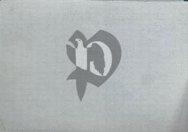 Verso carte postale ancienne vierge