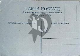 Verso carte postale ancienne vierge sous protectorat France, Algérie, Tunisie