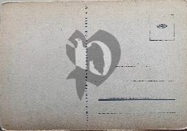 Verso carte postale ancienne vierge