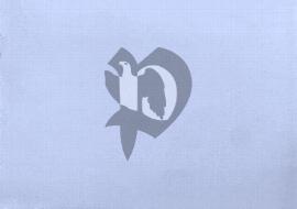 Verso carte postale ancienne vierge