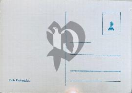 verso carte postale ancienne vierge