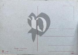 verso carte postale ancienne vierge