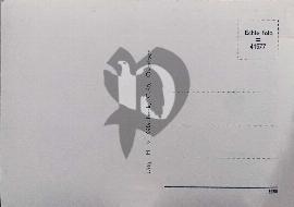 Verso carte postale